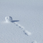 snowball